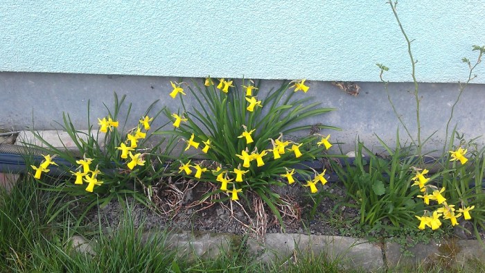 Veranstaltungen März 2016 1000 px