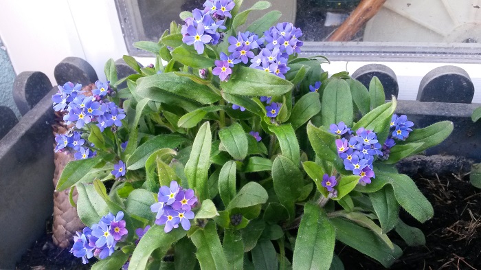 Veranstaltungen in der Donaustadt im April 2016