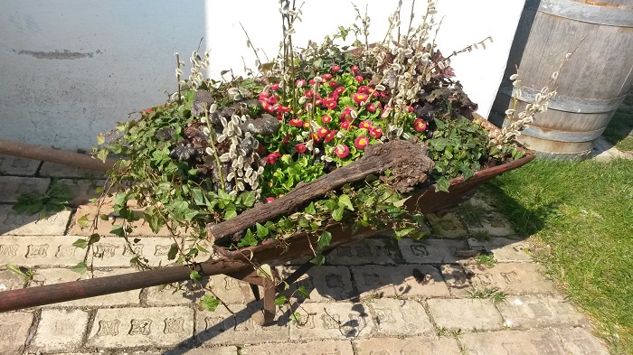 Blumengaerten Hirschstetten - Bauernhof