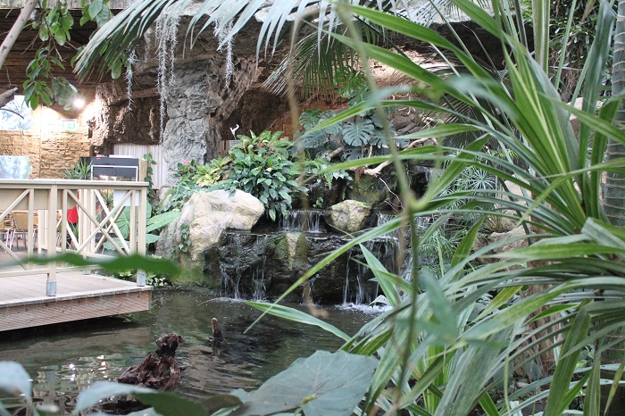 Blumengaerten Hirschstetten - Palmenhaus