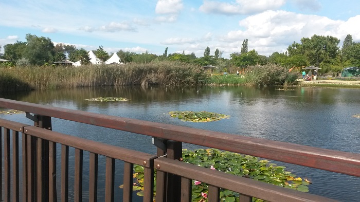 Blumengaerten Hirschstetten - Seerosenteich mit Bruecke