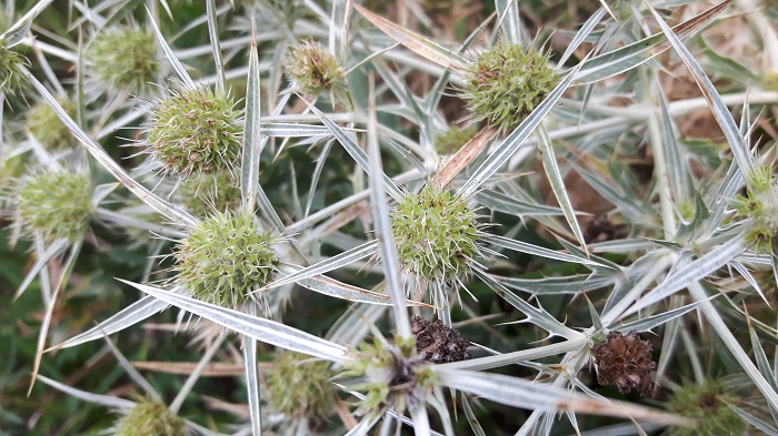 veranstaltungen-november-2016-700-px