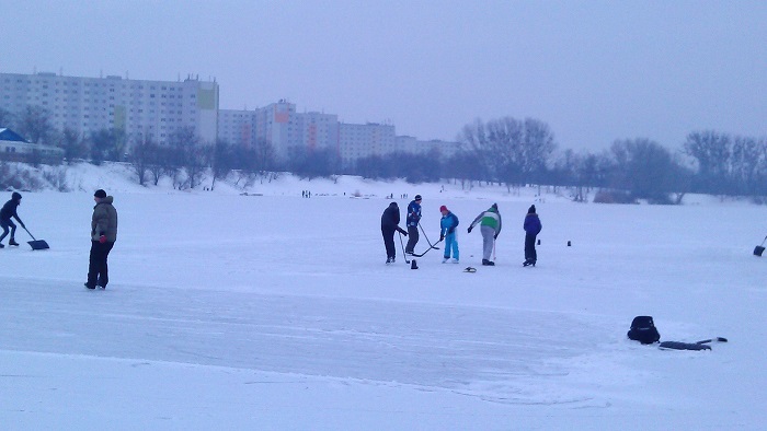 Winter am Teich Hirschstetten