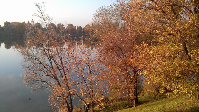 Herbst am Teich Hirschstetten
