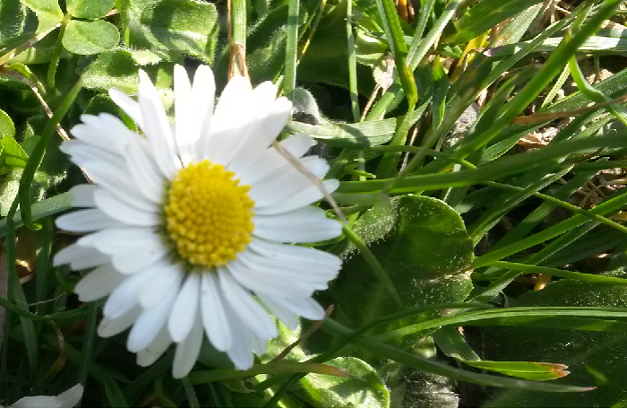 Events im 22. Bezirk in Wien im April 2017