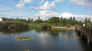 Blumengärten Hirschstetten 300 px