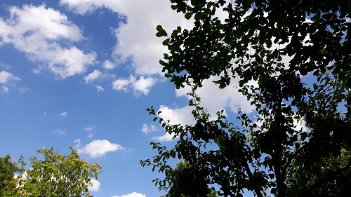 Bühne Donaupark 08-2017