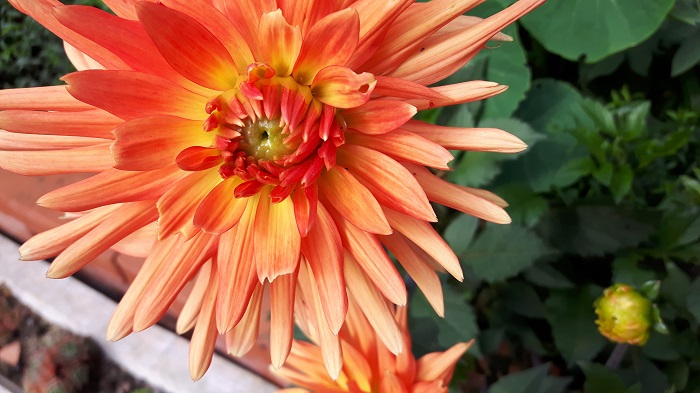 Veranstaltungen September 2017 700 px