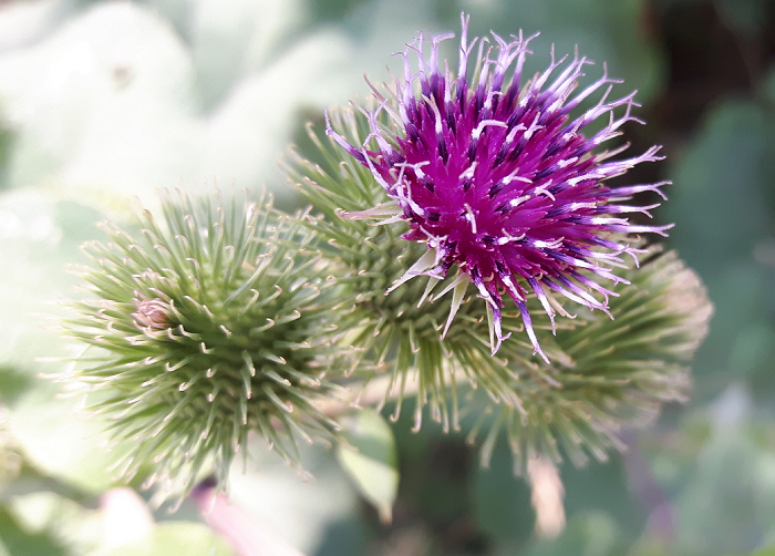 Veranstaltungen Oktober 2017 700 px