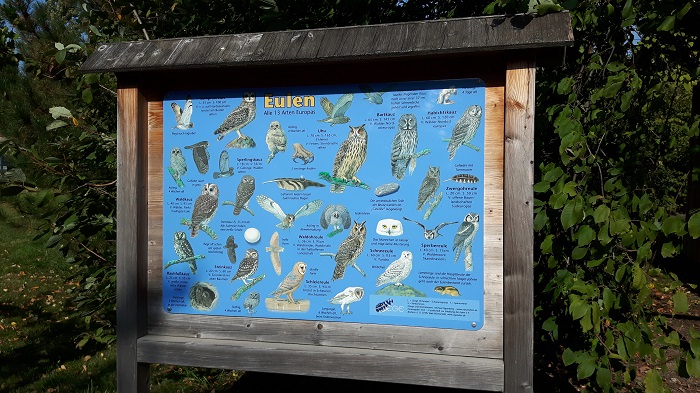 Blumengärten Hirschstetten - Zoo - Eulen