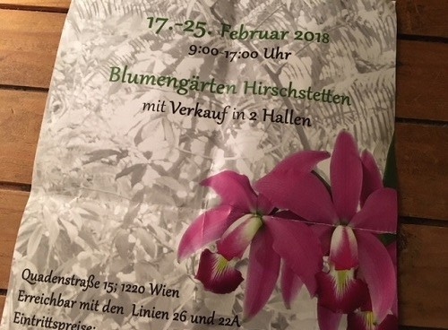 2018-02 Orchideen