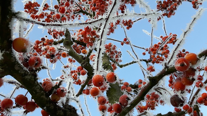 Veranstaltungen 2018-02px