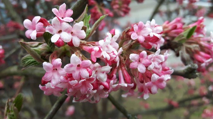 Veranstaltungen 2018-03px