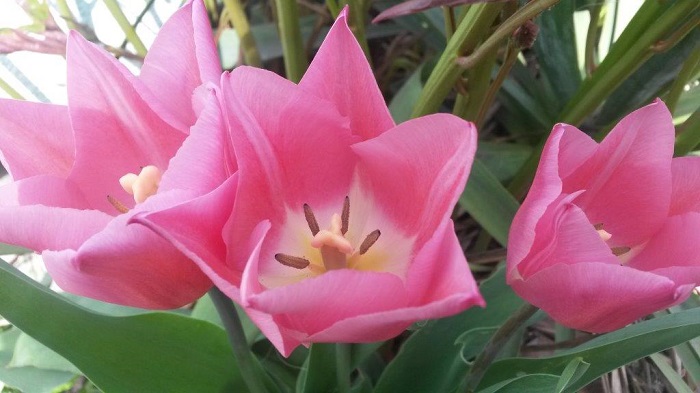 2018-04 Veranstaltungen