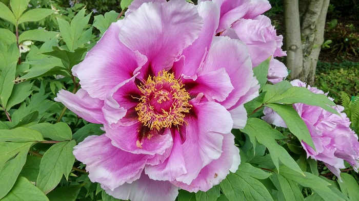 Veranstaltungen 2018-05