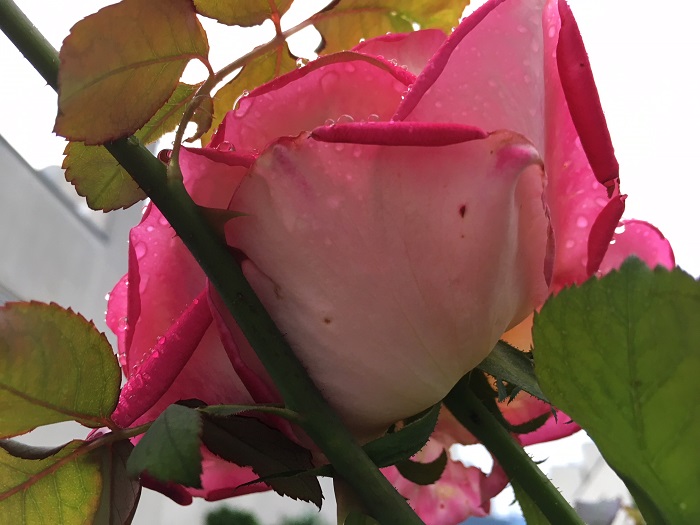 2018-10 Veranstaltungen