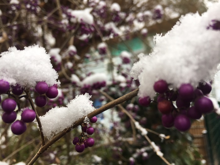 Veranstaltungen 2018-12