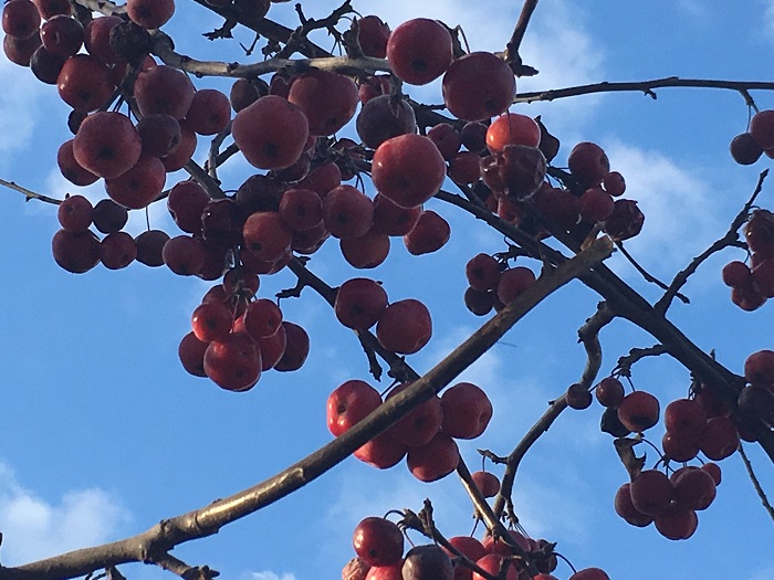 Veranstaltungen 2019-01