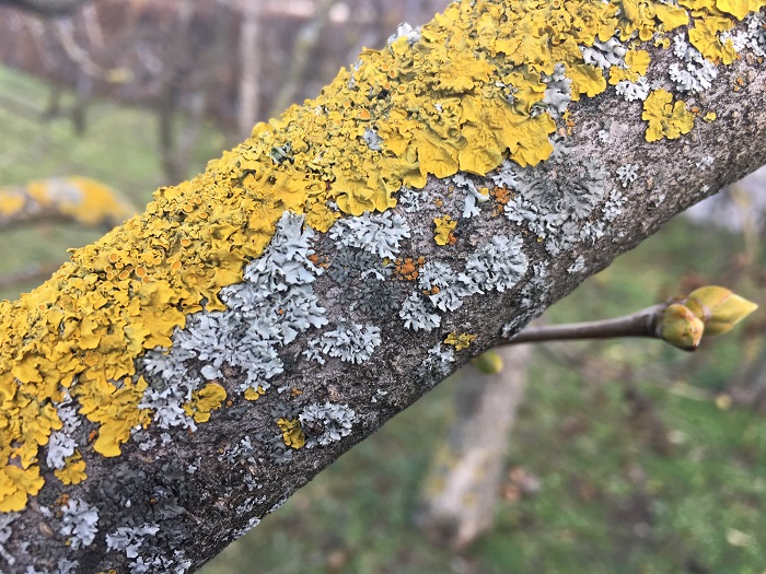 veranstaltungen2019-02