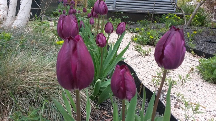 Veranstaltungen 2019-04 700 px