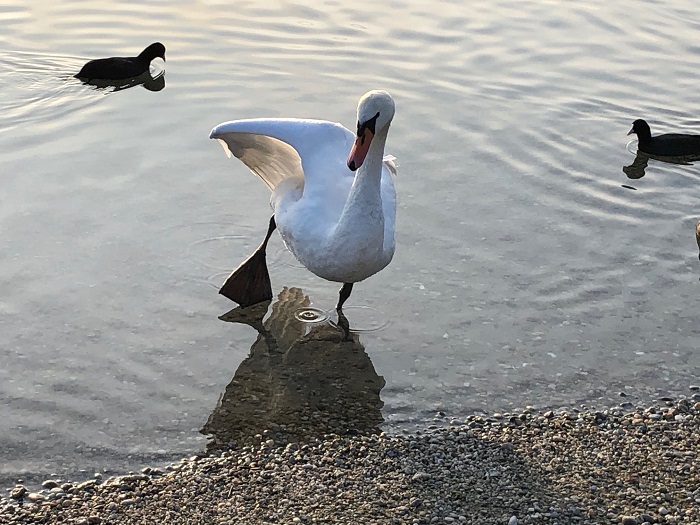 Veranstaltungen 2020 Winter