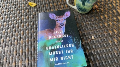 Cover Lilli Polansky Gratulieren müsst ihr mir nicht. Schöffling Verlag